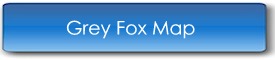 Grey Fox Map